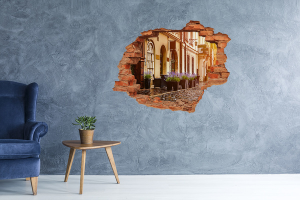 Sticker mural effet trou Un coin charmant avec de la lavande