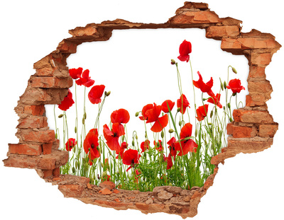 Sticker trou dans le mur Coquelicots brique