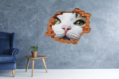 Autocollant mural trou Yeux de chat vert brique