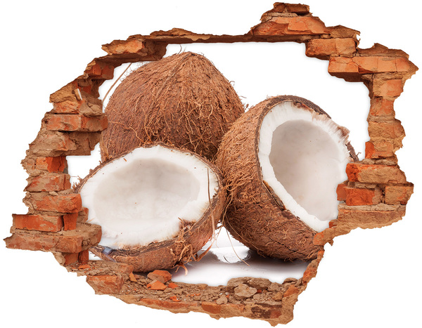 Sticker trou dans le mur Trésors de noix de coco