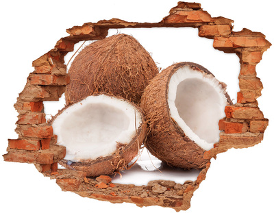 Sticker trou dans le mur Trésors de noix de coco