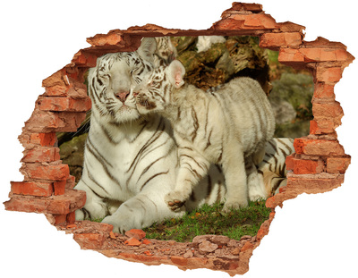 Sticker mural effet trou Tigres blancs dans la nature