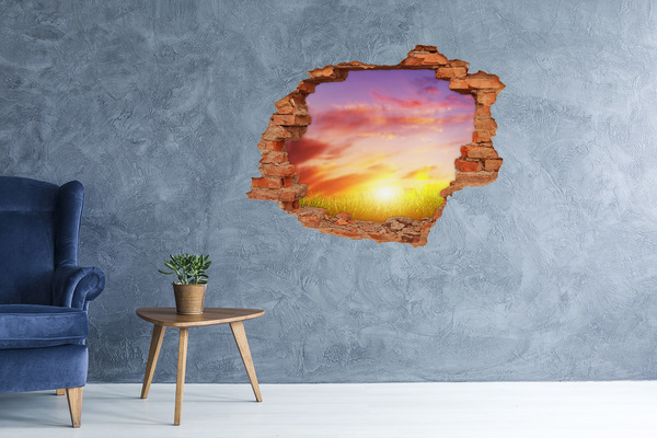 Sticker mural effet trou Coucher de soleil sur la prairie