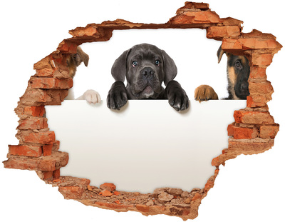 Autocollant à effet 3d trou Adorable chiot caché derrière le mur