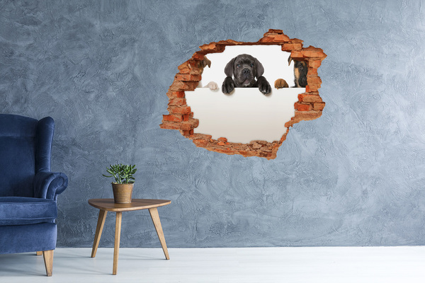 Autocollant à effet 3d trou Adorable chiot caché derrière le mur
