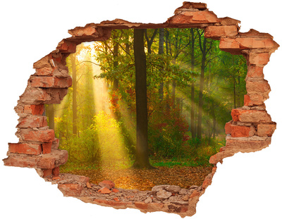 Sticker mural effet trou Paysages forestiers d'automne