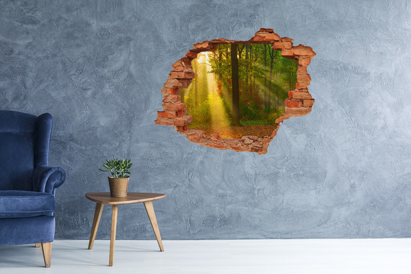Sticker mural effet trou Paysages forestiers d'automne