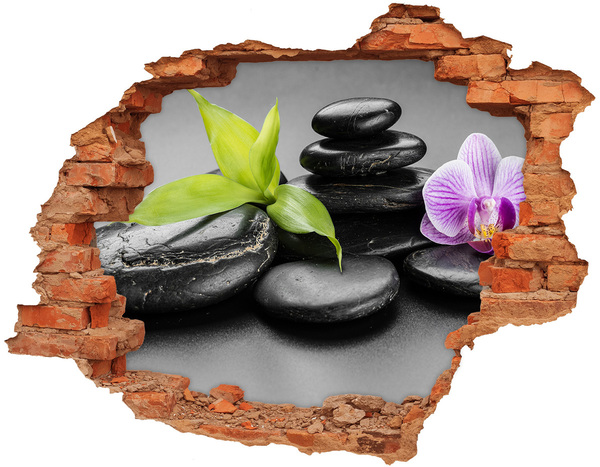 Autocollant à effet 3d trou Une vue apaisante avec des pierres et des plantes