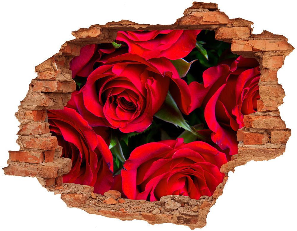 Autocollant mural trou Roses rouges brique