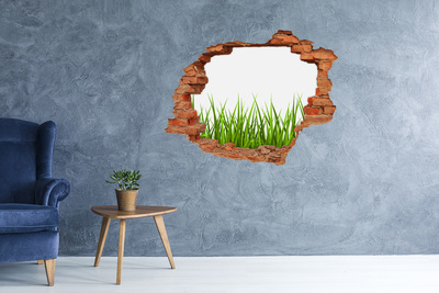 Sticker mural effet trou Herbe brique