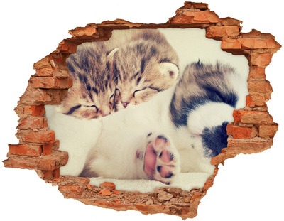 Sticker mural effet trou De mignons chatons dans un trou dans le mur