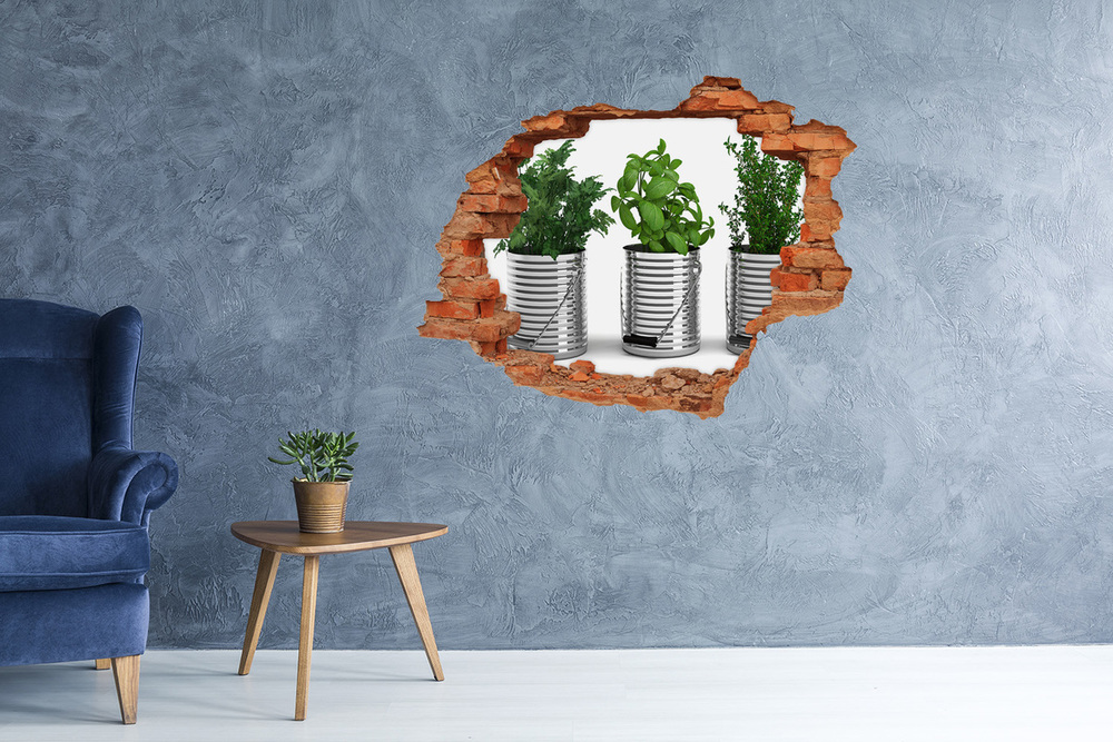 Autocollant à effet 3d trou Plantes aromatiques brique