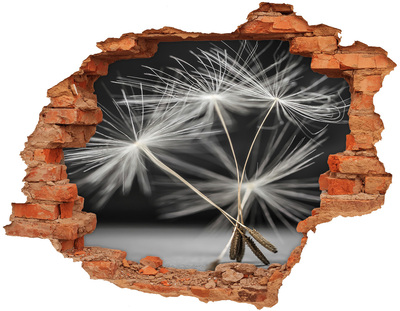 Sticker trou dans le mur Fleurs de pissenlit dans le béton