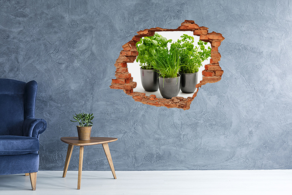 Sticker trou dans le mur Herbes dans des pots brique