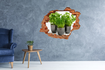 Sticker trou dans le mur Jardin vert en pots