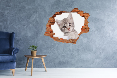 Autocollant à effet 3d trou Chaton dans un trou dans le mur