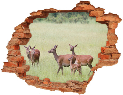 Sticker mural effet trou Une biche et son petit dans la nature