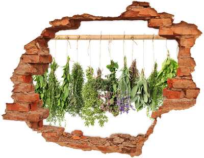 Autocollant à effet 3d trou Jardin d'herbes aromatiques caché dans un mur