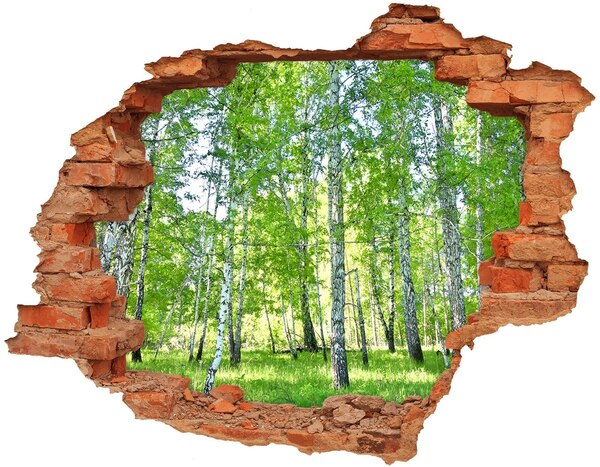 Autocollant à effet 3d trou Forêt verte dans un trou dans le mur