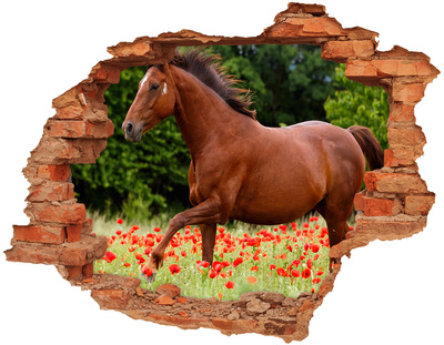 Autocollant à effet 3d trou Un cheval dans un champ de coquelicots