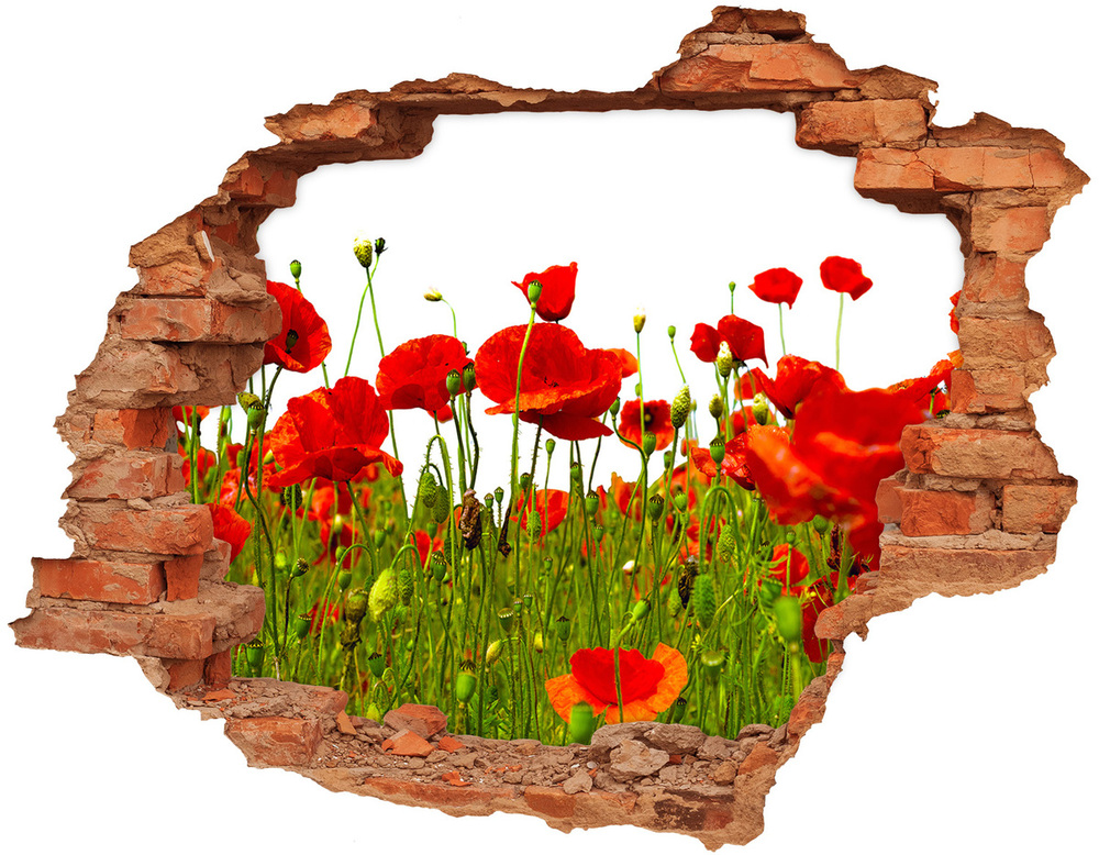 Sticker mural effet trou Coquelicots de terrain brique