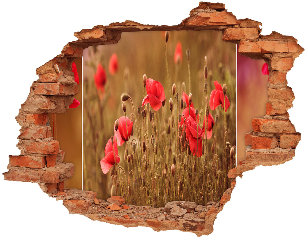 Autocollant mural trou Coquelicots brique