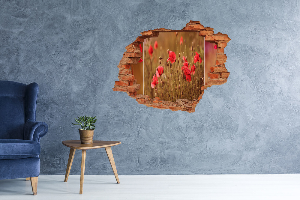 Autocollant mural trou Coquelicots brique