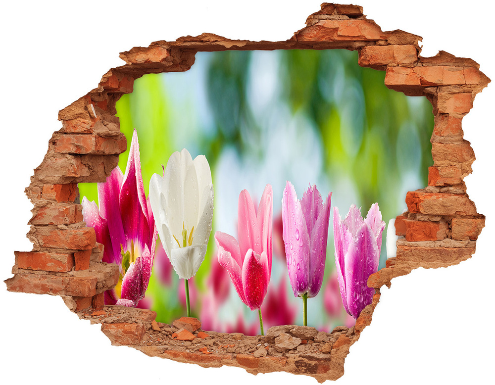 Sticker mural effet trou Tulipes brique