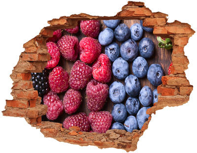 Sticker mural effet trou Fruits des bois brique