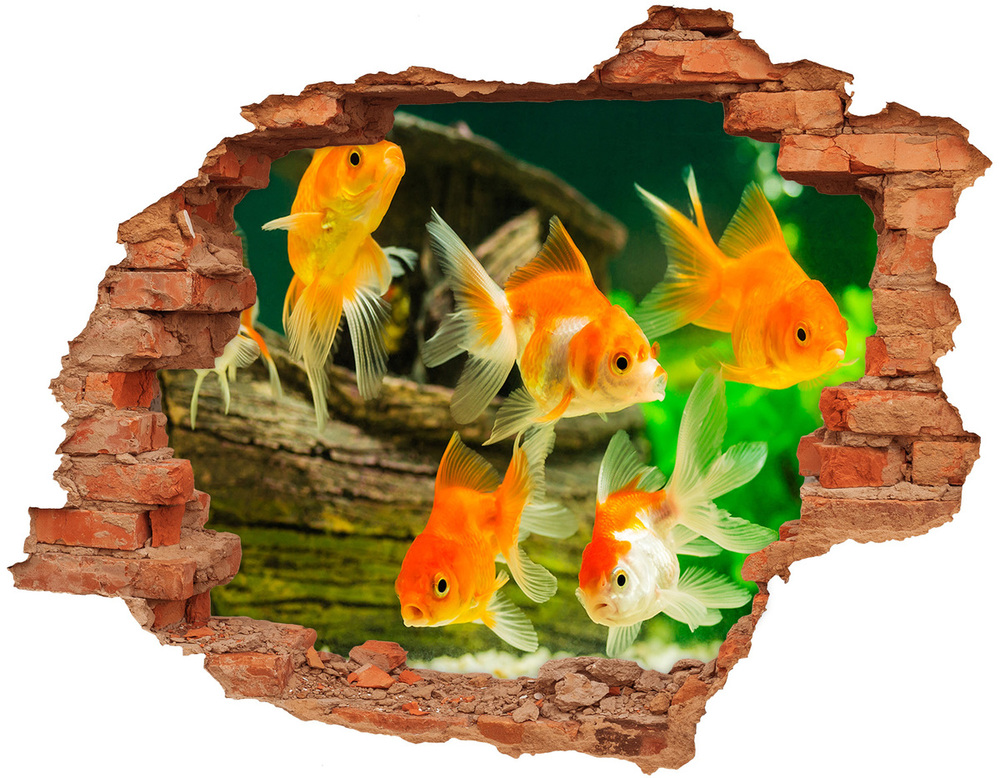 Autocollant à effet 3d trou Poisson d'or brique