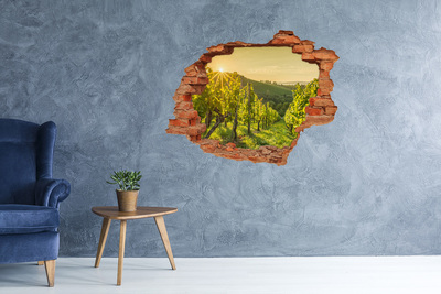 Autocollant à effet 3d trou Vignobles au soleil