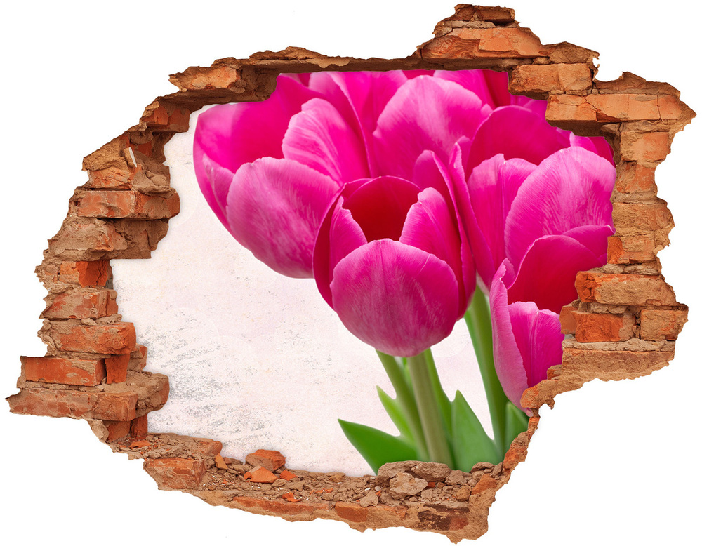 Autocollant mural trou Tulipes roses brique