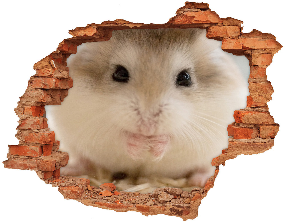 Sticker mural effet trou Hamster brique