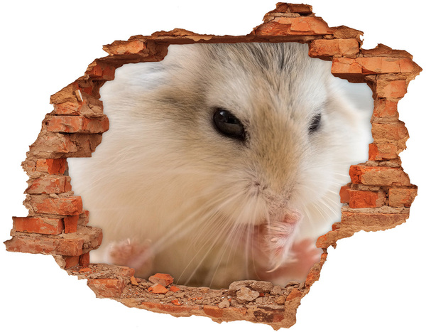 Autocollant à effet 3d trou Hamster dans un trou dans le mur