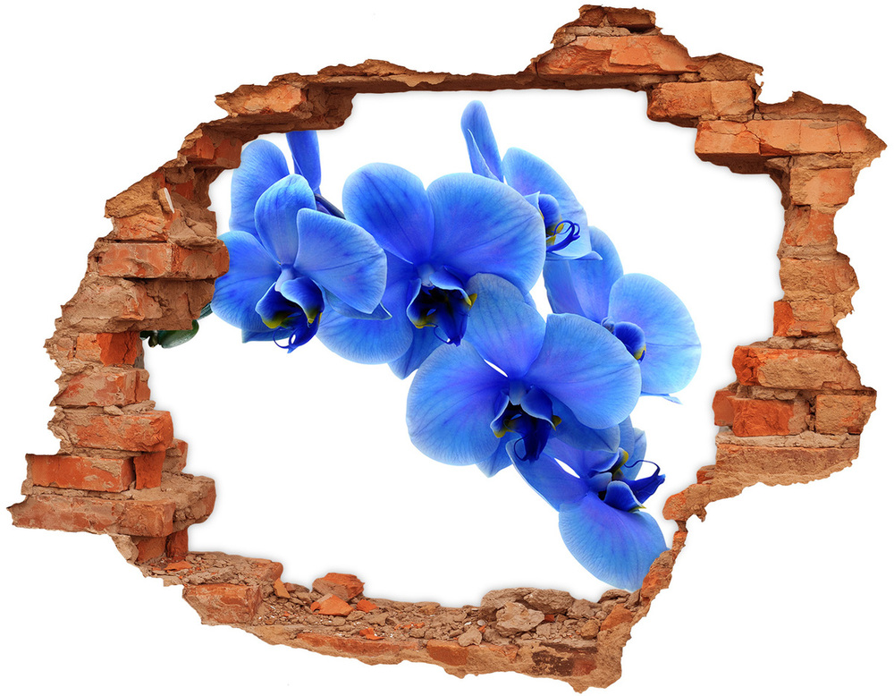 Sticker mural effet trou Orchidée bleue brique