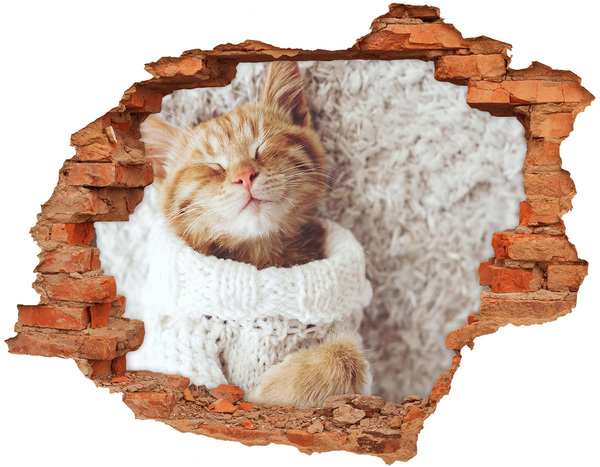 Sticker mural effet trou Chat mignon en pull
