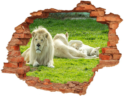 Sticker mural effet trou Lion blanc dans son habitat naturel