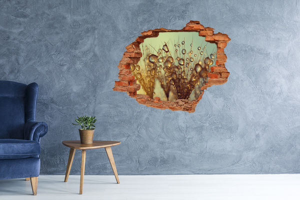 Autocollant mural trou Des gouttes sur les cheveux délicats