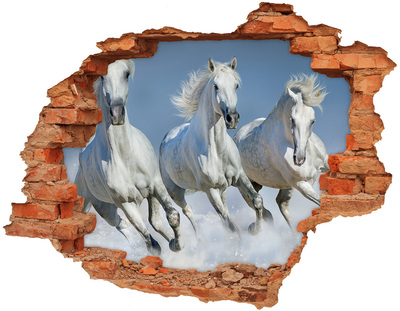 Autocollant à effet 3d trou Chevaux blancs en liberté