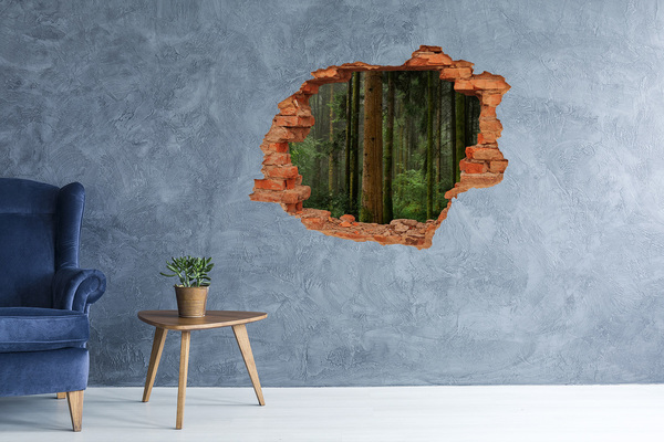 Autocollant à effet 3d trou Forêt verte dans un trou dans le mur