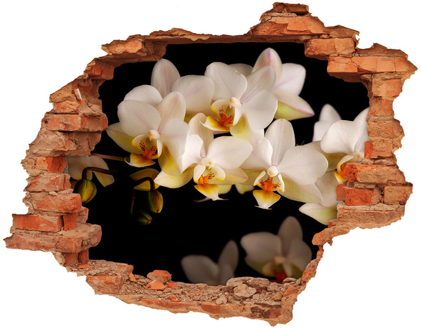 Autocollant mural trou Des orchidées en fleurs dans les ruines
