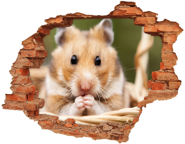 Sticker mural effet trou Hamster dans un trou transparent dans le mur