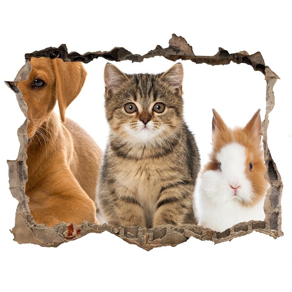 Autocollant mural trou Amis pour toujours