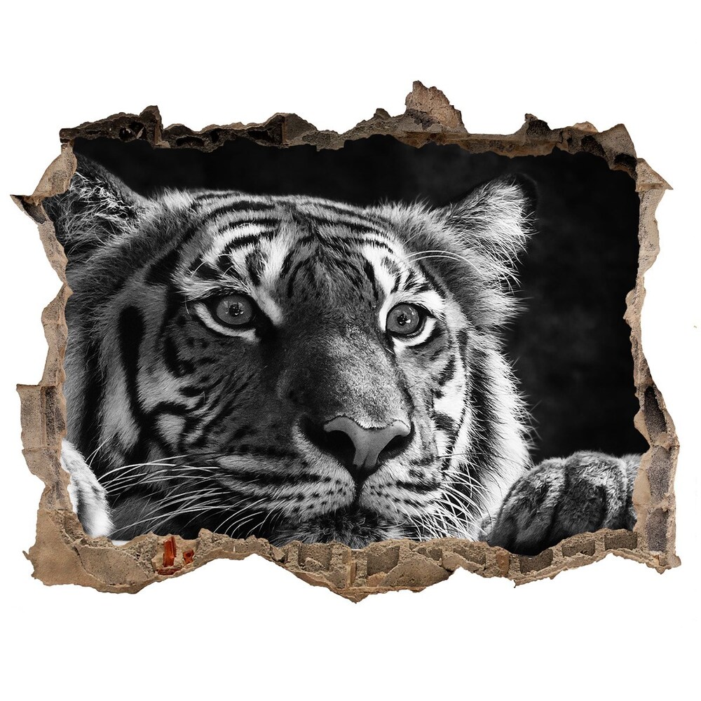 Sticker mural effet trou Tigre pierre