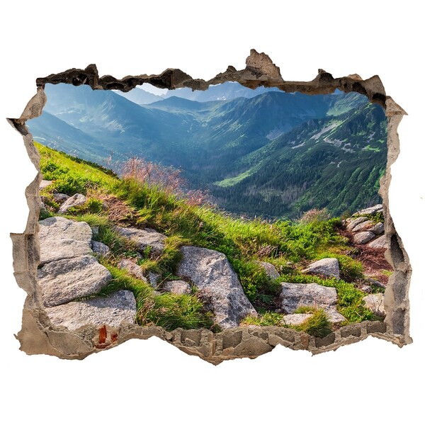 Sticker trou dans le mur Vue sur la montagne et la vallée