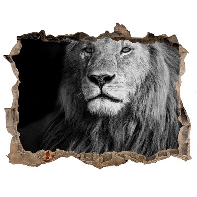 Autocollant à effet 3d trou Lion dans un trou dans le mur
