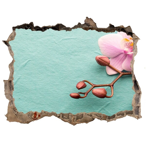 Sticker mural effet trou Une orchidée dans un mur endommagé