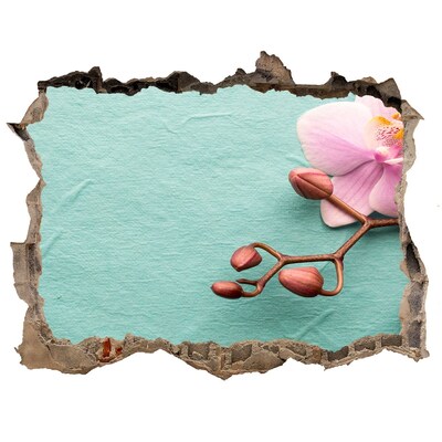 Sticker mural effet trou Une orchidée dans un mur endommagé
