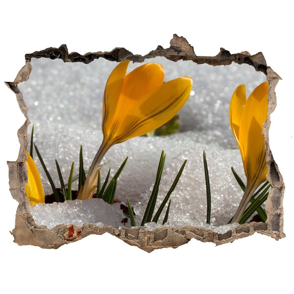 Autocollant à effet 3d trou Crocus dans la neige pierre