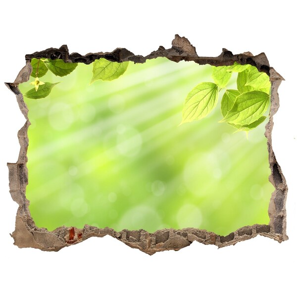 Autocollant mural trou Un paradis verdoyant derrière le mur